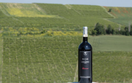 Vino, a Montalbera la prima vendemmia notturna del roso autoctono piemontese Ruché 6 Montalbera Laccento