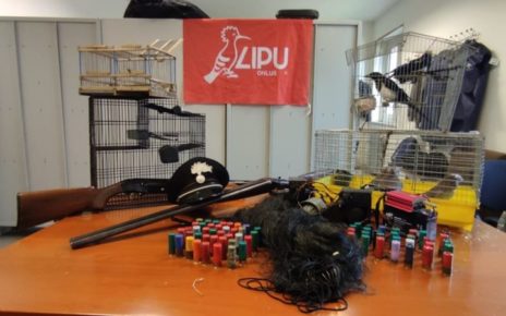 Quarto, operazione Antibracconaggio dei carabinieri forestali e Guardie LIPU: 3 persone denunciate e 2 fucili sequestrati 2 bacco1