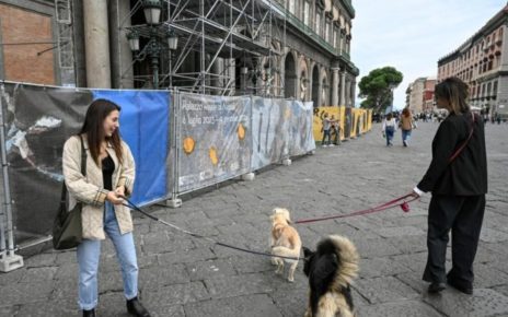 cani a palazzo