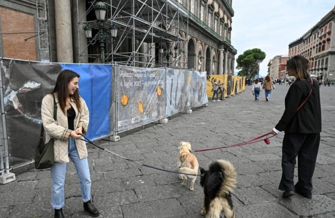 cani a palazzo