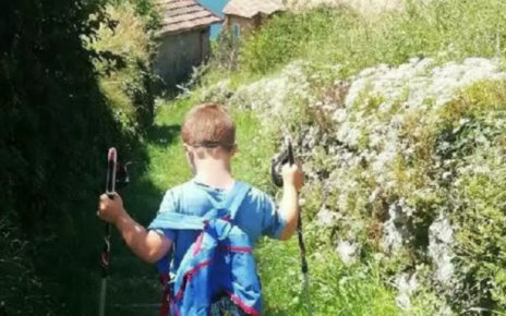 LA RIFLESSIONE - La scuola fantasma 4 petizione bambini disabili insegnanti sostegno 356494.large