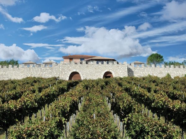 Torrecuso, alla “Fortezza” un AperiJazz per scoprire un territorio e i suoi favolosi prodotti 3 taburno 1