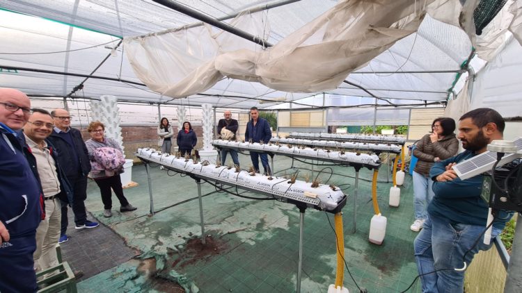 San Gennaro Vesuviano, all’Isis Caravaggio parte il Progetto Edugreen: l’innovativo utilizzo delle tecnologie in agricoltura sostenibile 11 393846373 704574858275988 8717365111567564175 n