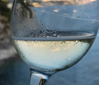 Torna a Salerno il grande Salone dei Vini Bio "Un Mare di Foglie" 3 Guida Bio 2024 2