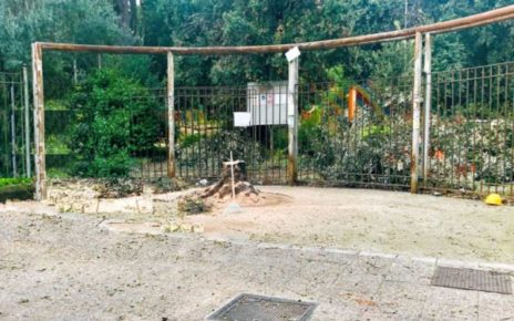 Napoli parco Mascagna albero abbattuto allingresso su via Bertini