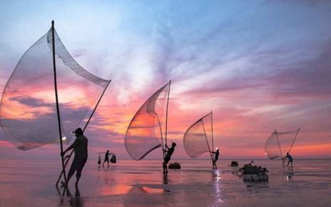 Esploriamo il mondo della pesca in acque dolci e salate 4 pesca