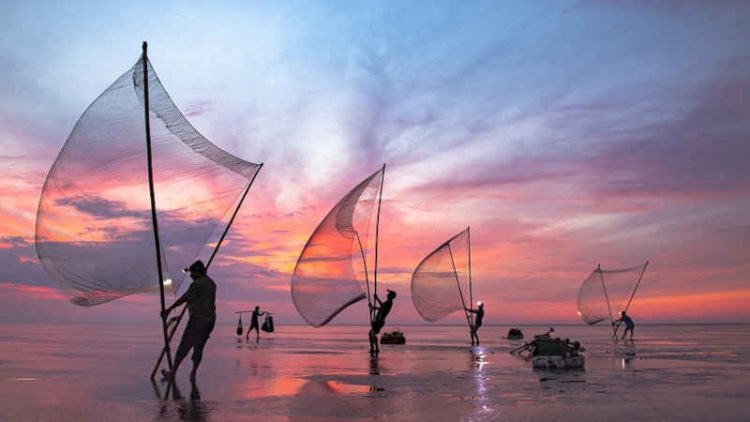 pesca