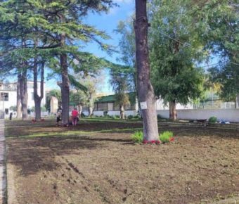 Marigliano, il Santuario della Speranza non è un Dog Park: basta cani e deiezioni nel piazzale del Convento dei Frati Minori di San Vito 11 piazzale3