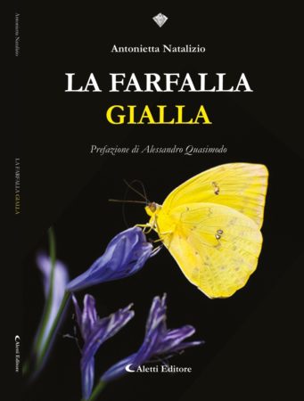 Copertina La farfalla gialla