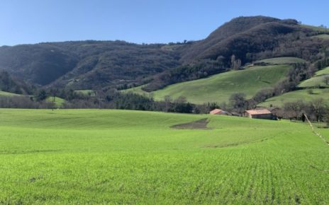 Clima, Accademia Agricoltura: "Serve testo unico, al di sopra di tutto" 5 O9SOr7bQxvDR