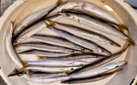 aluzze