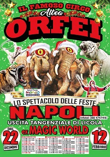 elefanti