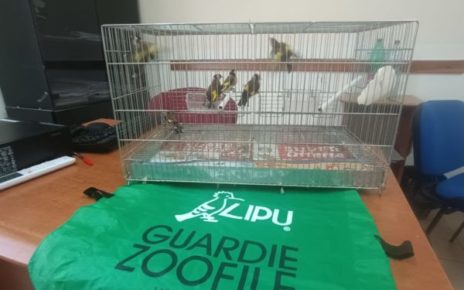foto del 22 12 23