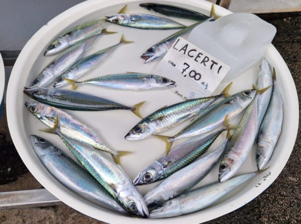 pesce azzurro 2