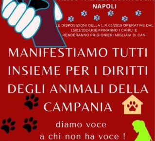 Campania, anagrafe canina: la Regione fa dietro front dopo le proteste degli ambientalisti. Confermata la Giornata di mobilitazione per il 31 gennaio 3 415973037 1080478483097209 3441088990638256420 n
