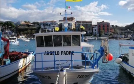 Coldiretti Impresa Pesca chiede la revisione del finanziamento del Fondo di Solidarietà Nazionale 4 Coldiretti Impresa Pesca