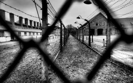 Giorno della Memoria, Maimone: "Inno al valore infinito della dignità umana" 3 WhatsApp Image 2024 01 26 at 12.08.44