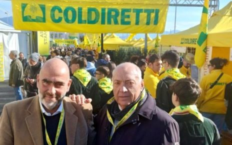 coldi1