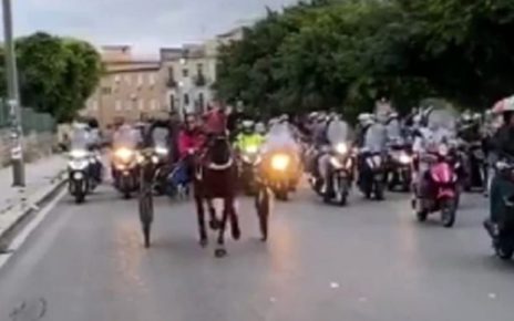 Palermo, cavallo morto e abbandonato in strada: indignazione sui social degli animalisti 5 corse clandestine cavallimod