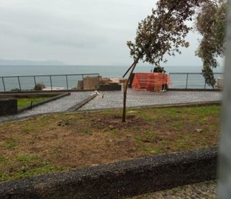 Napoli, vento abbatte alberelli appena piantumati dal Comune sul Monte Echia. Residenti in protesta 5 foto monte echia