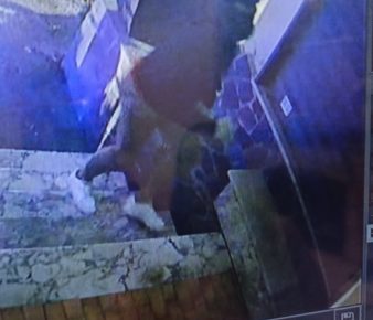 Quarto, impennata di furti in appartamento. La denuncia dei residenti: "Girano su una bmw bianca e si arrampicano sui tubi del gas” 4 furti quarto 2