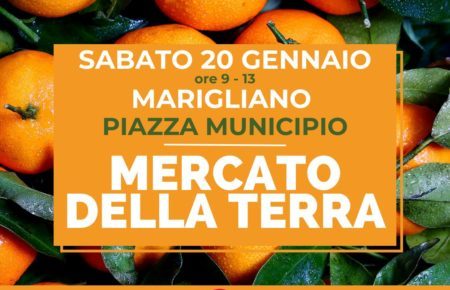 mercato della terra 17