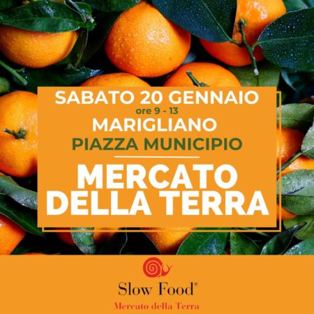 mercato della terra 17