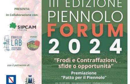 Pollena Trocchia, al via la III Edizione del PIENNOLO FORUM 2024: Frodi e contraffazioni, sfide e opportunità 3 423105491 359336720346236 111652490843242690 n