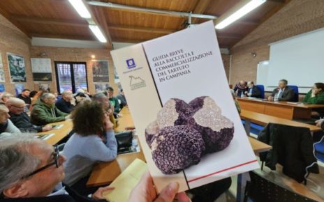 Campania, Tartufo: l’innovativo software per la gestione del comparto dei funghi e dei tartufi realizzato dall’Osservatorio dell’Appennino Meridionale per la Regione Campania 3 Appennino 4 2