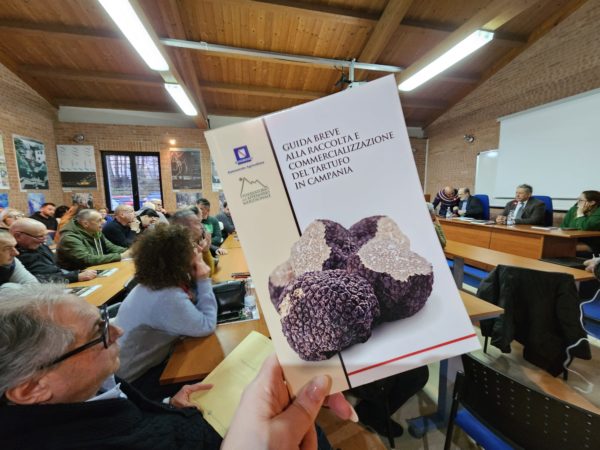 Appennino 4 2