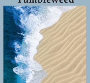 Carbonara di Nola, presentazione del romanzo TUMBLEWEED di Giuseppe Malinconico 3 429930849 975983440620284 3431415768577460306 n