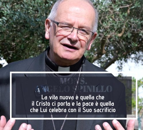 Aversa Palme 2024 Commento Spinillo Reel
