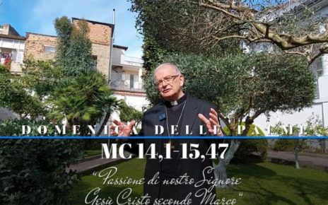 Aversa Palme 2024 Commento Spinillomod