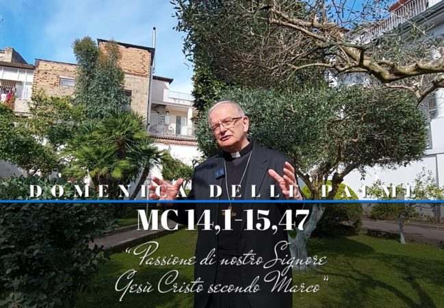 Aversa Palme 2024 Commento Spinillomod