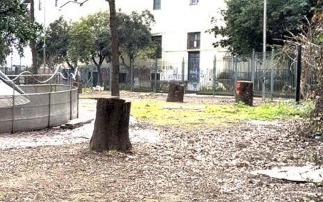 Napoli parco Mascagna alberi abbattuti 1