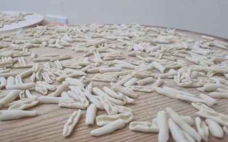 Paupisi, "Il Cecatiello Paupisano" è stato riconosciuto prodotto agroalimentare tradizionale 3 cecatiello paupisanomod