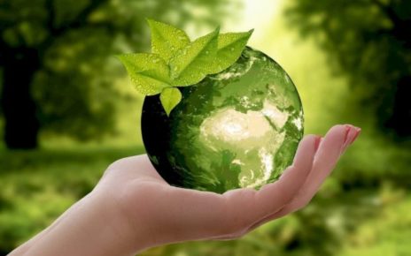 Green e sostenibilità: In Italia servono nuove regole, aziende a rischio paralisi 7 92203