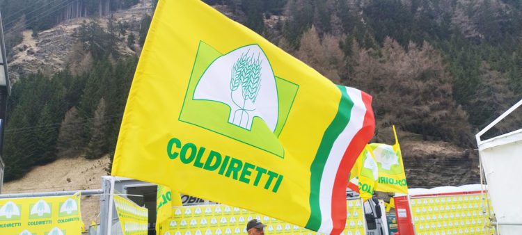 Bandiera Coldiretti 1