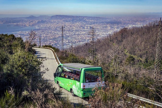 Bus44