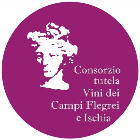 Logo Consorzio
