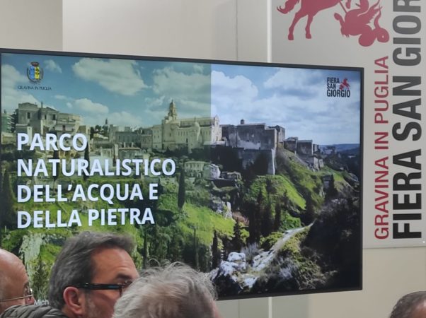 Vassallo Dario7