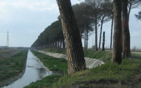 Giornata della Terra 2024, un appello per “Carditello e i Regi Lagni” 5 cropped img 00072mod