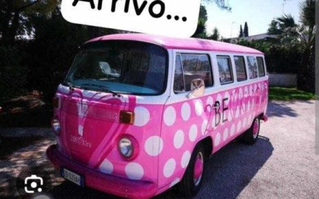 Pink cancer, cercasi in regalo un pulmino delle donne per le donne 4 pink1