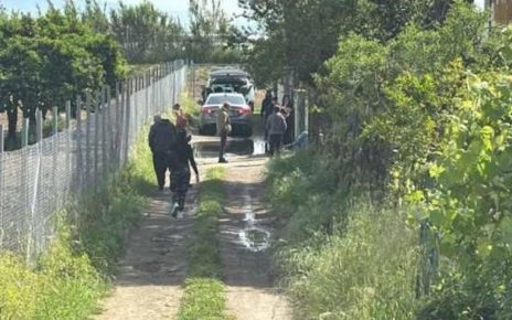 Campolongo, bimbo di 15 mesi azzannato e ucciso da due pitbull 4 pitbullazzanna
