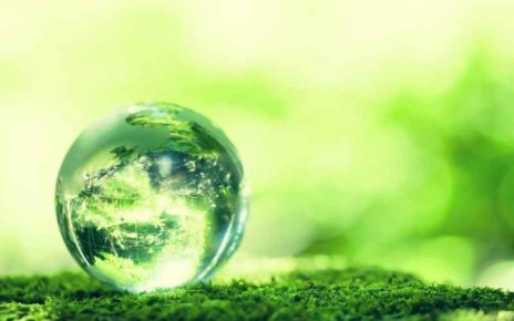 Green e sostenibilità: In Italia servono nuove regole, aziende a rischio paralisi 5 sostenibilita