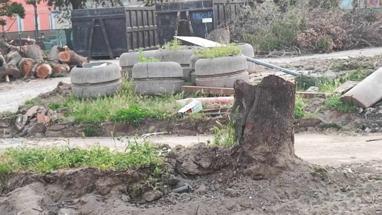 Marigliano, Olocausto green nella Villa Comunale: sterminati alberi di più di quarant'anni. Il day After è traumatico 3 440840518 1510963549489965 3313456370441265850 n