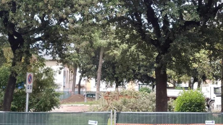 Marigliano, muore il verde della Villa Comunale: distrutti gli alberi centrali. Finiscono nell'immondizia anche i lampioncini in stile. Addì 3 maggio si dispensa dai fiori 5 440840526 804844701557510 3325890579790971514 n