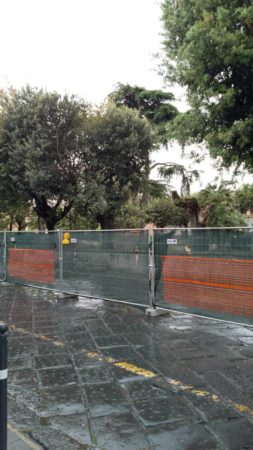 Marigliano, muore il verde della Villa Comunale: distrutti gli alberi centrali. Finiscono nell'immondizia anche i lampioncini in stile. Addì 3 maggio si dispensa dai fiori 6 440858924 378304484643753 3607942845041758711 n