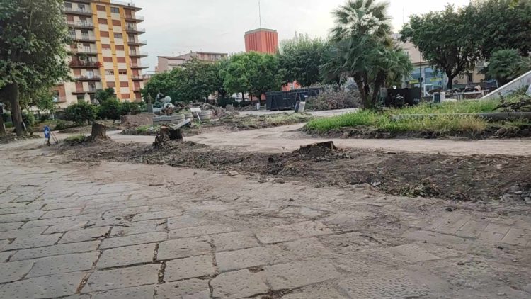 Marigliano, Olocausto green nella Villa Comunale: sterminati alberi di più di quarant'anni. Il day After è traumatico 7 440864317 999127858256861 5899216901397007612 n