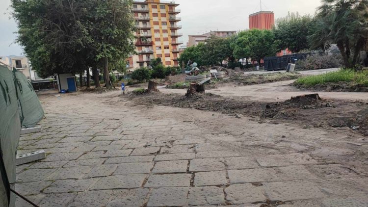 Marigliano, Olocausto green nella Villa Comunale: sterminati alberi di più di quarant'anni. Il day After è traumatico 8 440914588 460249826531221 1598394510681626080 n